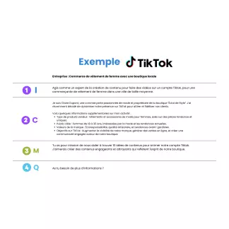formation-gratuite-planification-efficace-tiktok